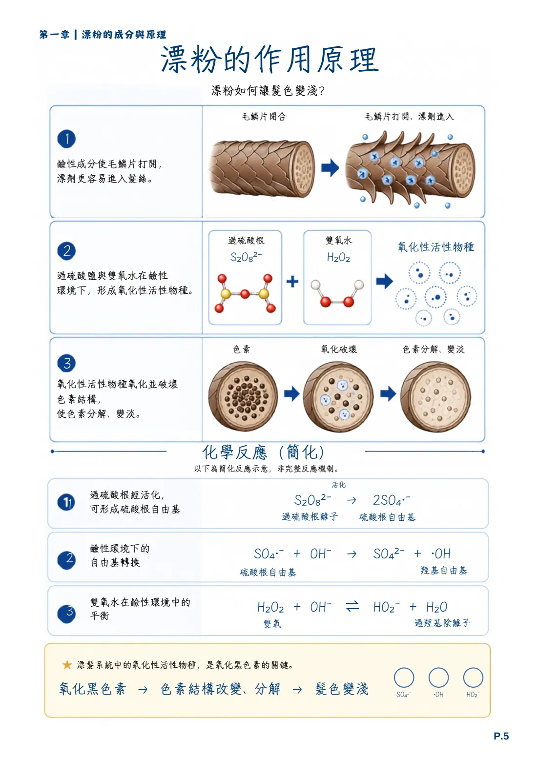 《漂染概論》內頁 P.5，第一章：漂粉的作用原理